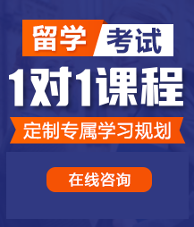 大jb干的你爽不爽欧美在线留学考试一对一精品课